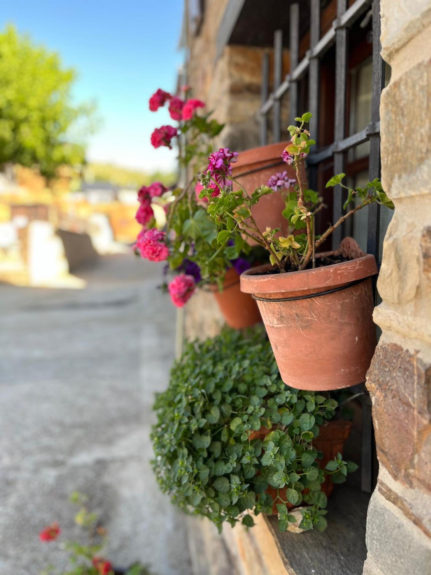 La Casina De Gelo Villa Riego de Ambros Exterior foto