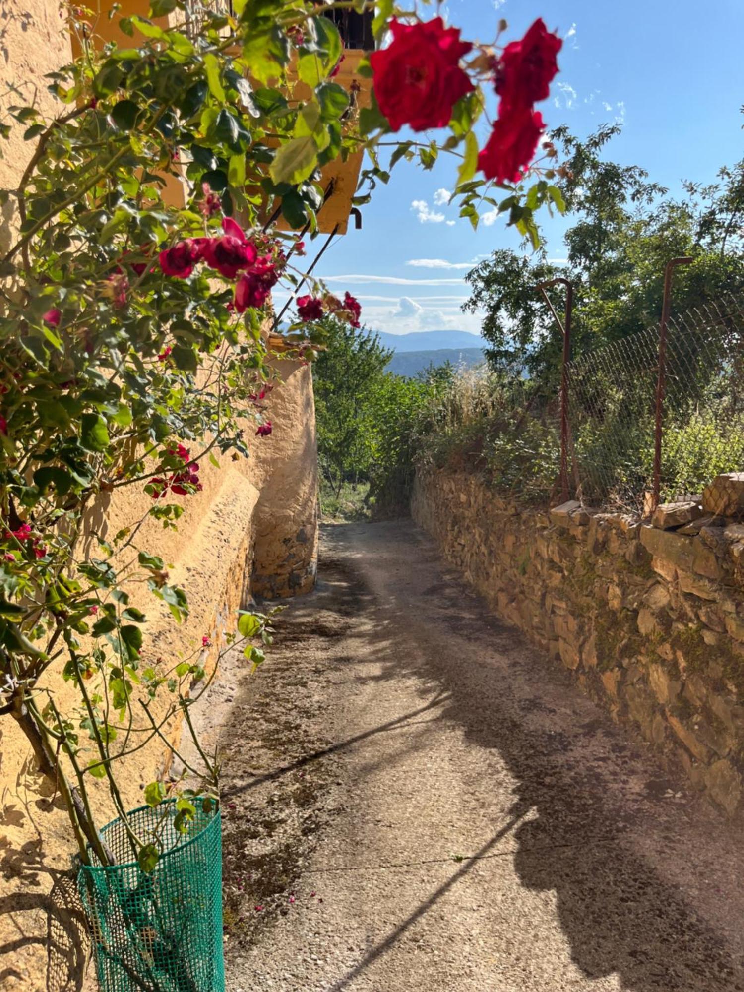 La Casina De Gelo Villa Riego de Ambros Exterior foto